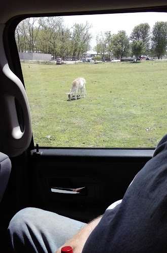 Funeral Services at Ozark Embalming Inc in Gentry, Arkansas | FuneralHomes.fyi Ozark Embalming Inc Gentry Arkansas