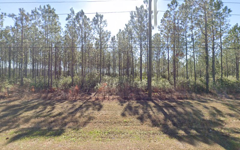 Funeral Services at A Dignified Alternative in St Johns, Florida | FuneralHomes.fyi A Dignified Alternative St Johns Florida