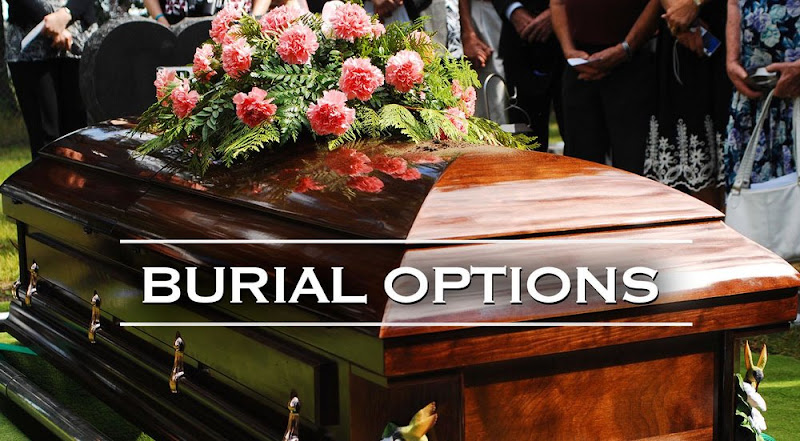 D. Williams Mortuary Services, LLC Gainesville Florida