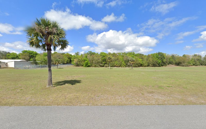 White Wings Jacksonville Florida