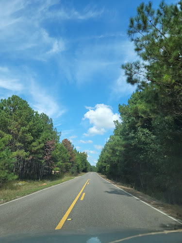 Funeral Services at Cremation Center of Birmingham in Woodstock, Alabama | FuneralHomes.fyi Cremation Center of Birmingham Woodstock Alabama