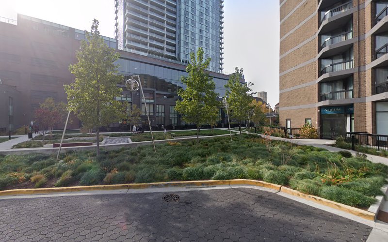 Ruth Davis Chicago Illinois