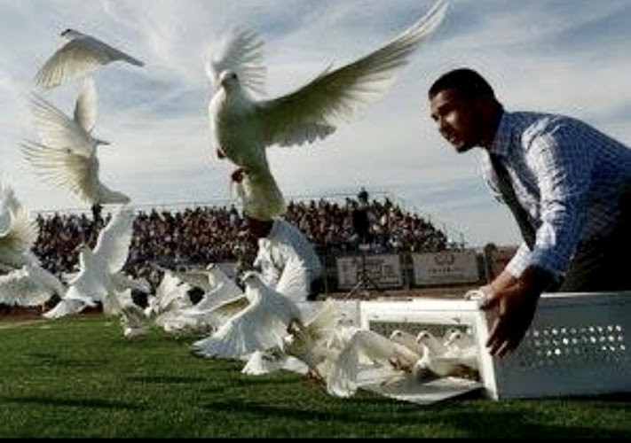 Heavenly Doves Oxnard California