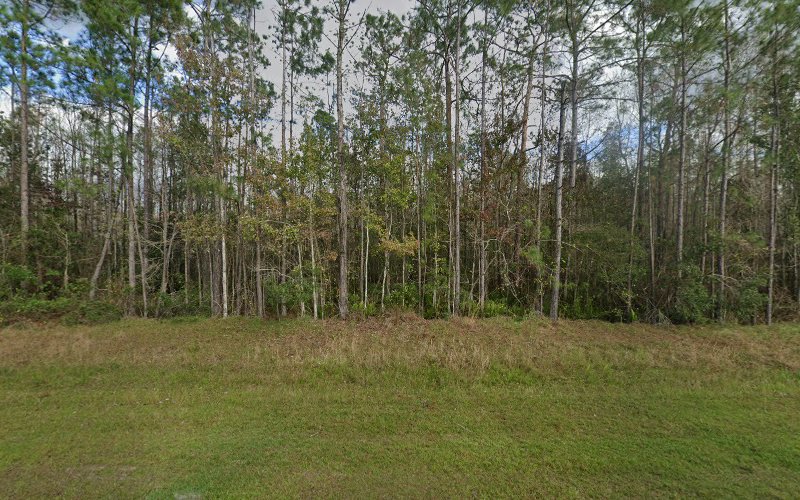 Funeral Services at Nelson J Barrett in Davenport, Florida | FuneralHomes.fyi Nelson J Barrett Davenport Florida