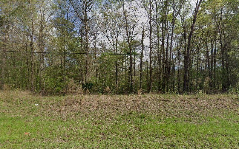 Lucius funeral home, Ananiston, ala Benton Alabama