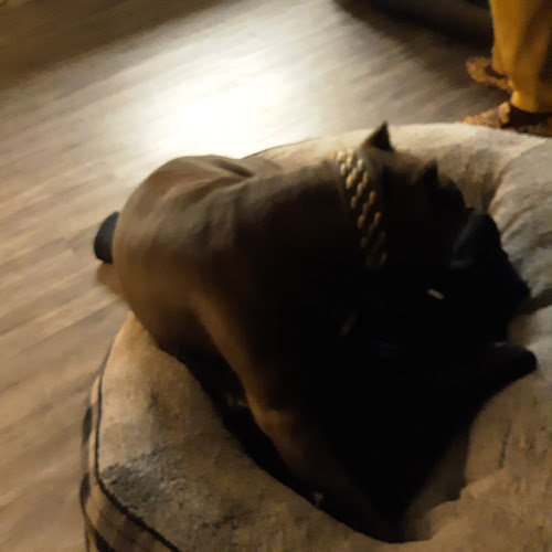 George F Grubbs Funeral Home Troy Alabama