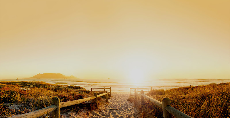 Funeral Services at Sunflower Cremation in Hollywood, Florida | FuneralHomes.fyi Sunflower Cremation Hollywood Florida