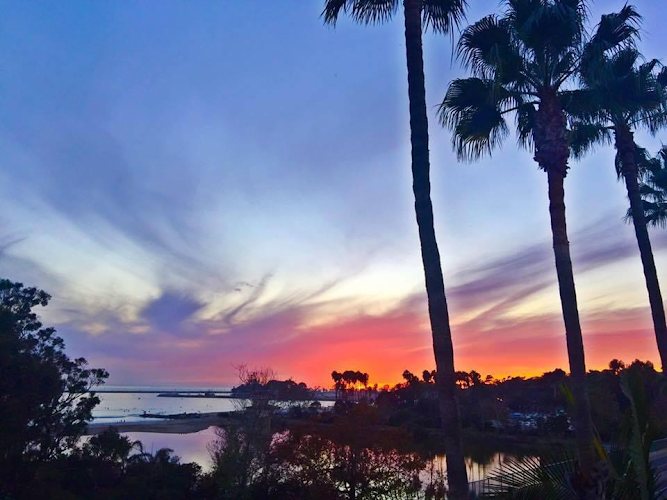 Opal Cremation of Orange County Costa Mesa California