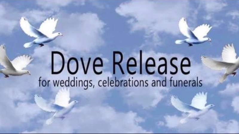 Laramie Dove Releases Peoria Illinois