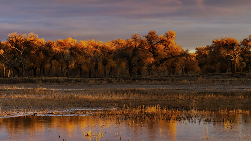 Funeral Services at Carman Funeral Home in Brown City, Michigan | FuneralHomes.fyi Carman Funeral Home Brown City Michigan