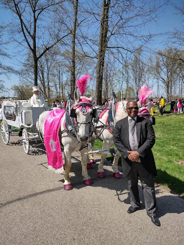 Funeral Services at Thomas G Smith Funeral Home in Cleveland, Ohio | FuneralHomes.fyi Thomas G Smith Funeral Home Cleveland Ohio