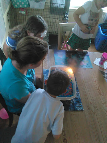 Huestis W Robert Willsboro New York