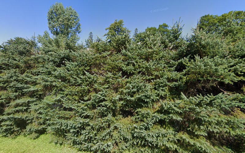 Funeral Services at Bailey Funeral Home in Lancaster, New Hampshire | FuneralHomes.fyi Bailey Funeral Home Lancaster New Hampshire