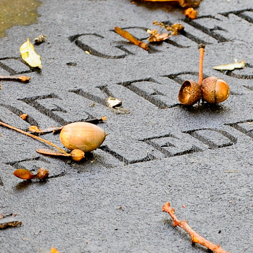Funeral Services at Sutherland – Rankin Funeral Home in Salem, Illinois | FuneralHomes.fyi Sutherland – Rankin Funeral Home Salem Illinois