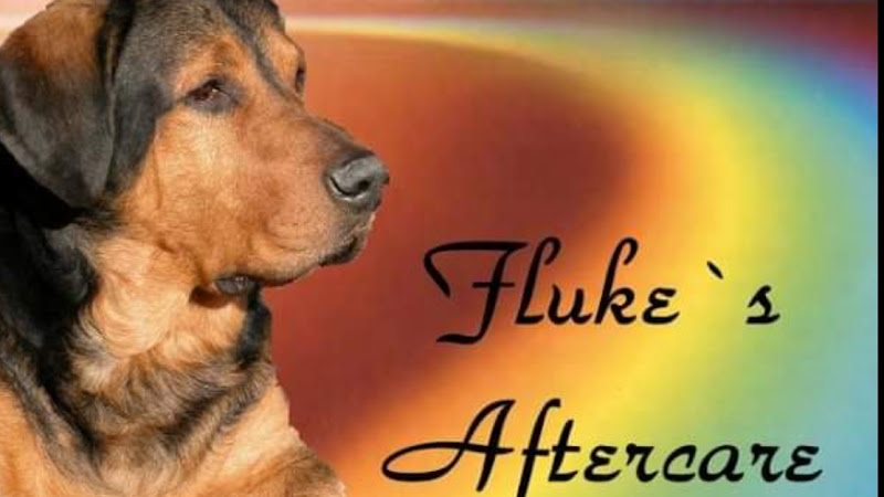 Funeral Services at Fluke’s Aftercare Pet Cremation in Litchfield, Maine | FuneralHomes.fyi Fluke’s Aftercare Pet Cremation Litchfield Maine