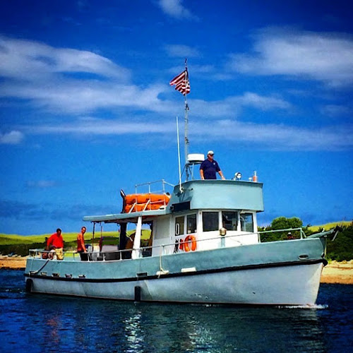 SwanSong Burial at Sea South Yarmouth Massachusetts