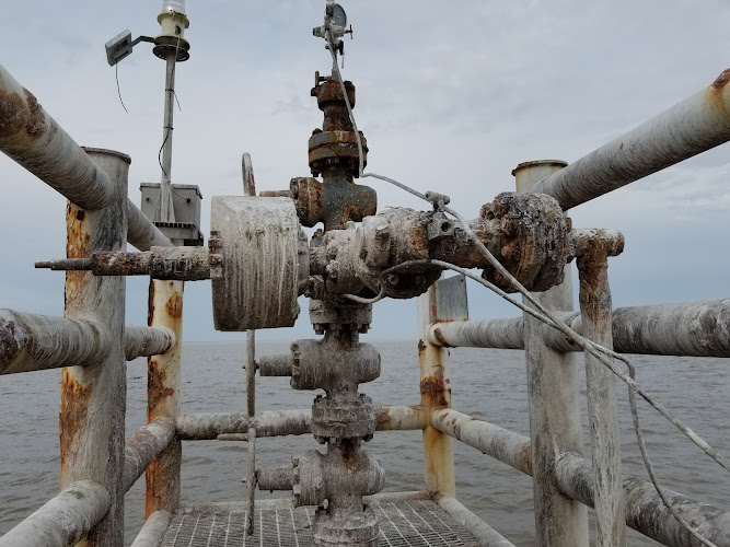 Funeral Services at Pellerin Funeral Homes in Henderson, Louisiana | FuneralHomes.fyi Pellerin Funeral Homes Henderson Louisiana