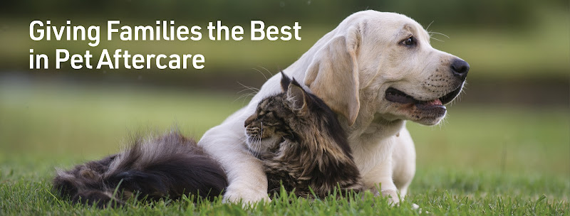 Funeral Services at Agape Pet Services – Kernersville, NC in Kernersville, North Carolina | FuneralHomes.fyi Agape Pet Services – Kernersville, NC Kernersville North Carolina