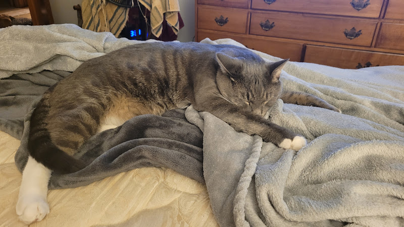 Boal Funeral Home Barton Maryland