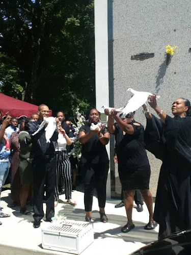 Detroit jimmy white dove release Detroit Michigan