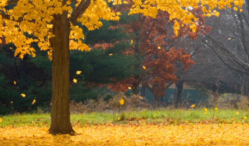 Funeral Services at Reed & Benoit Funeral Home, Inc. in Watertown, New York | FuneralHomes.fyi Reed & Benoit Funeral Home, Inc. Watertown New York