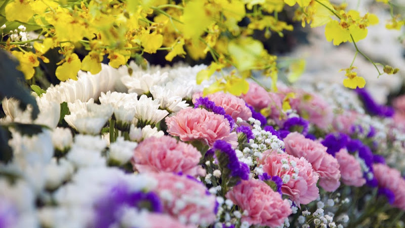 Bainbridge Funeral Home Wheaton Minnesota