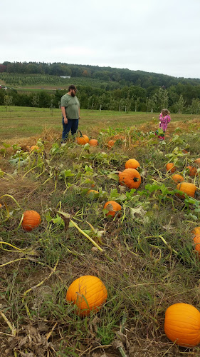 Funeral Services at Hickcox Funeral Home in Bethlehem, Connecticut | FuneralHomes.fyi Hickcox Funeral Home Bethlehem Connecticut