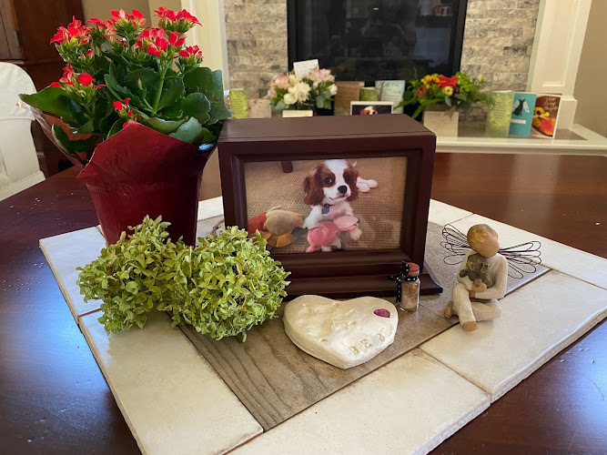 Pet Cremation Services Kansas City Missouri