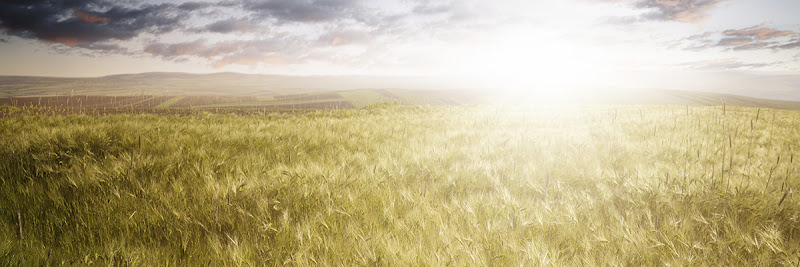 Rogers R E Funeral Home Inc Belfry Kentucky